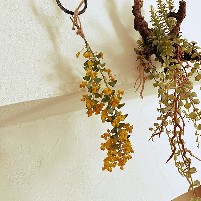 wahahaさんの実例写真