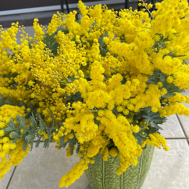 Andaluciaさんの部屋