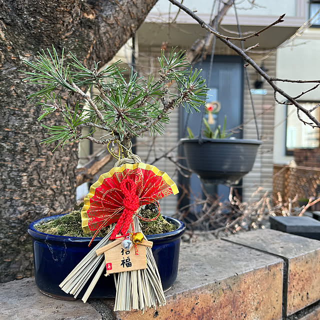 shunrikoさんの実例写真