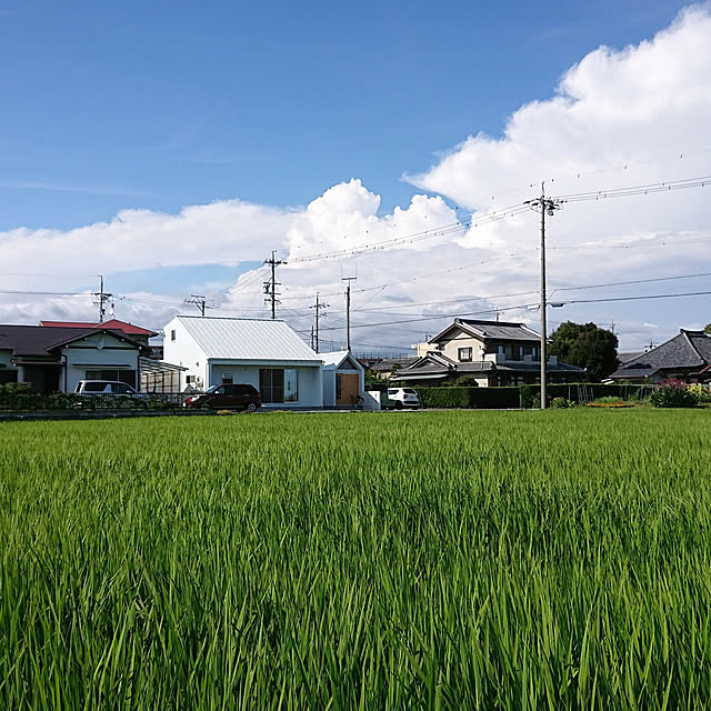 実例写真