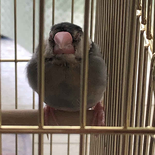 kanaさんの実例写真