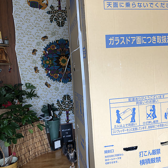 Rujuさんの実例写真