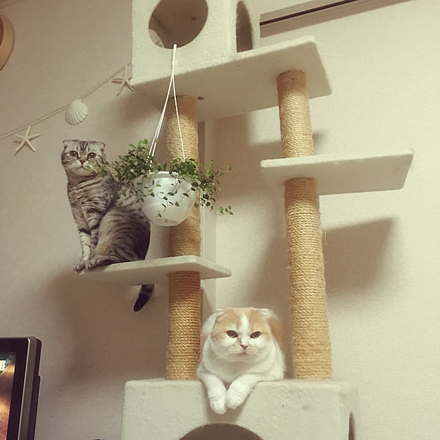 meさんの実例写真