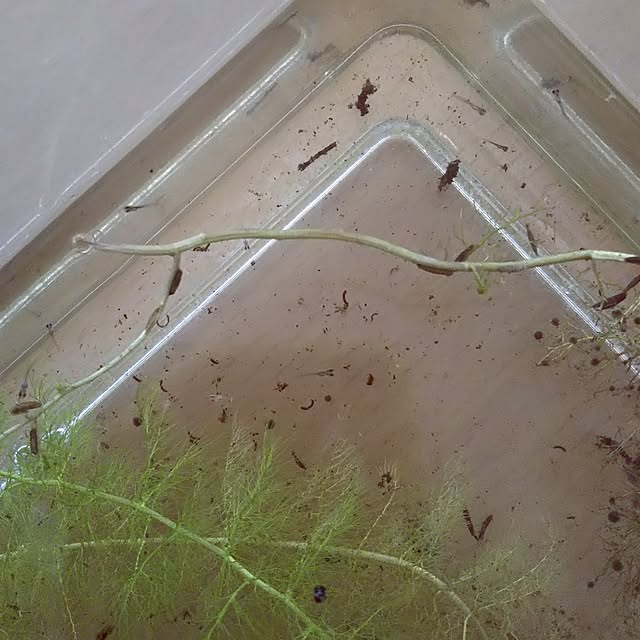 marimariさんの部屋