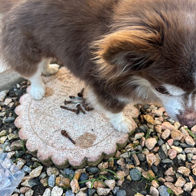 chIoeさんの部屋