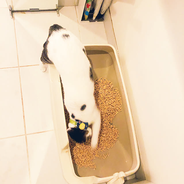 yukimiさんの実例写真