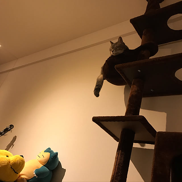 piyoさんの実例写真