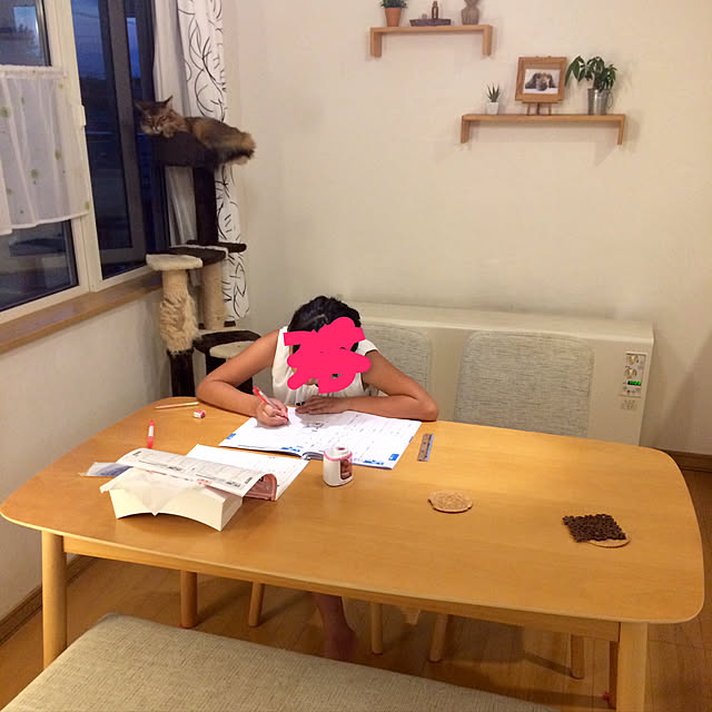 Yumiさんの実例写真
