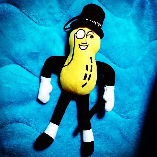 N3さんの実例写真