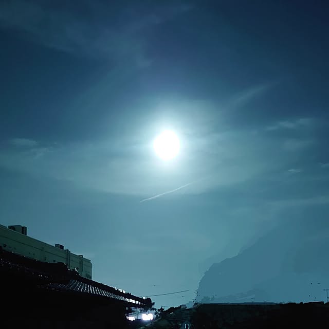akaidarumaさんの部屋