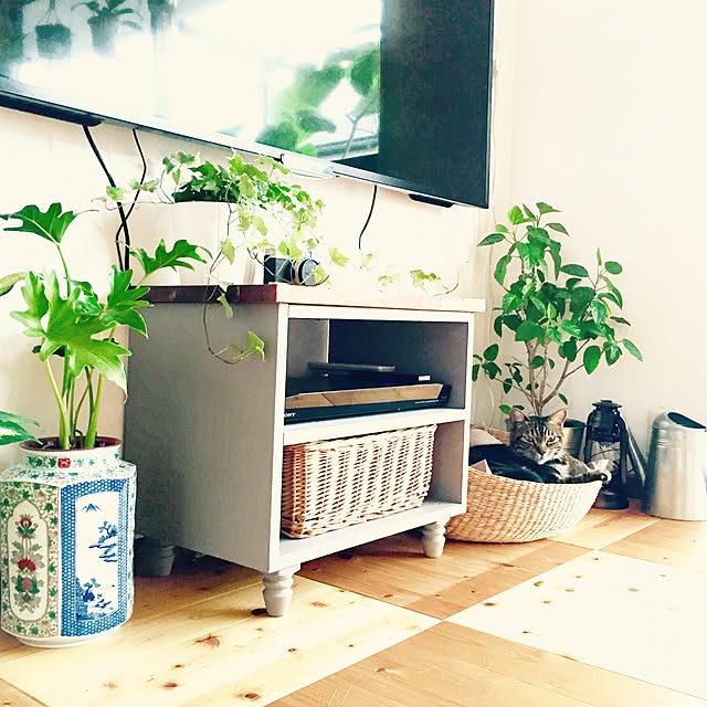 catsmamさんの実例写真