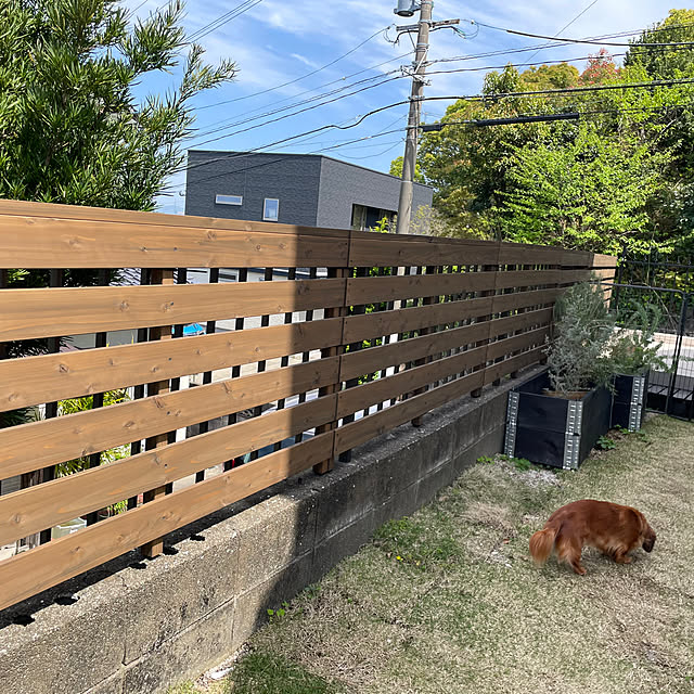Mikaさんの部屋
