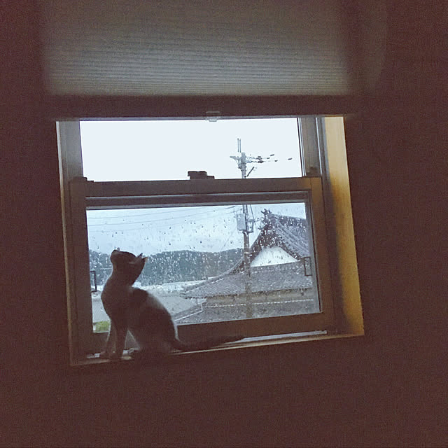 ohachさんの実例写真