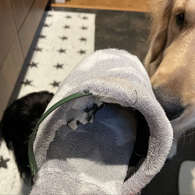 marinkoさんの実例写真
