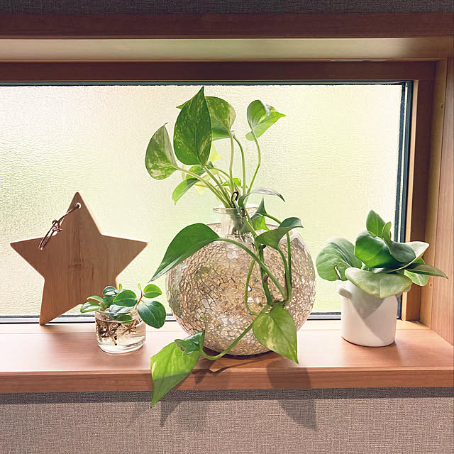 1546さんの実例写真