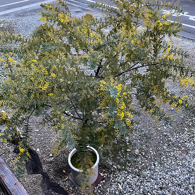 shin0719さんの部屋