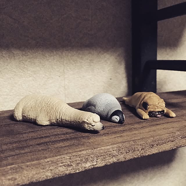 Harukaze_plus_25さんの実例写真