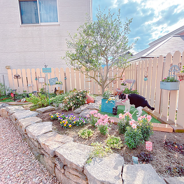 moolさんの実例写真