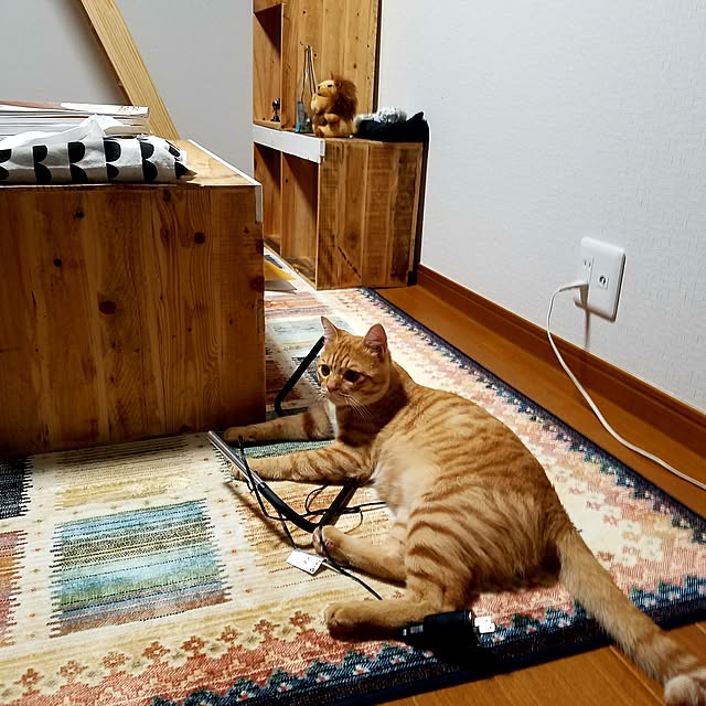 C.Tさんの実例写真