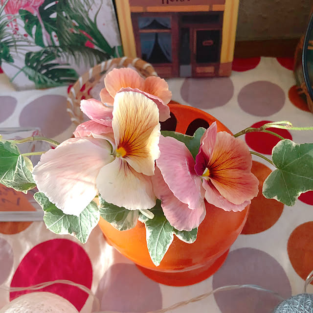 Malamaさんの部屋