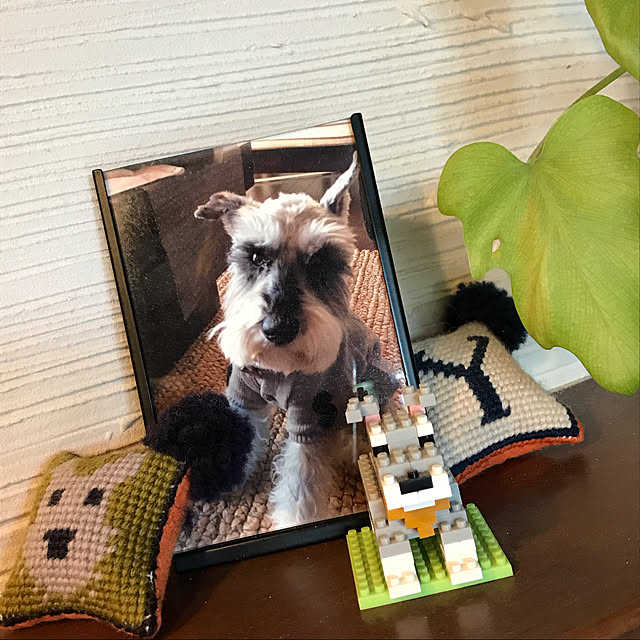 Nagakoさんの実例写真