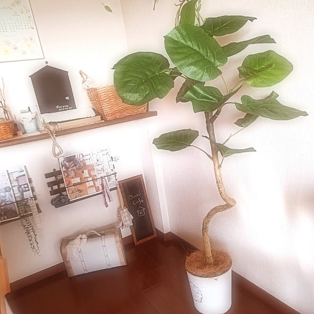 harumoeさんの実例写真