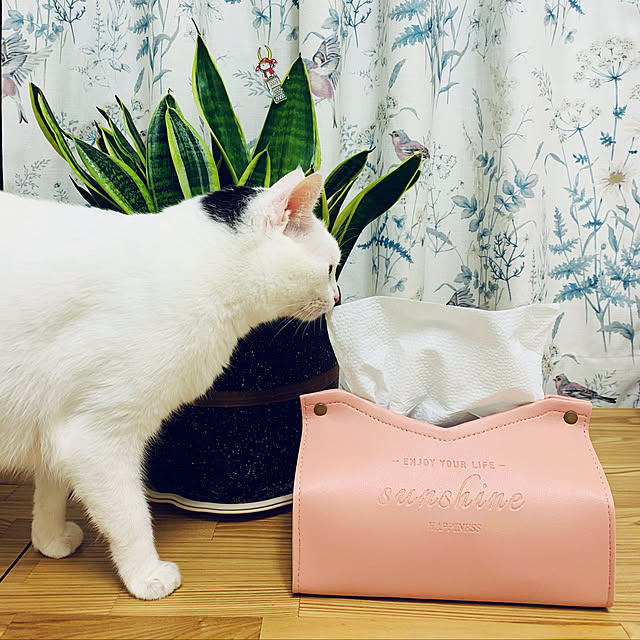 pcu110さんの実例写真