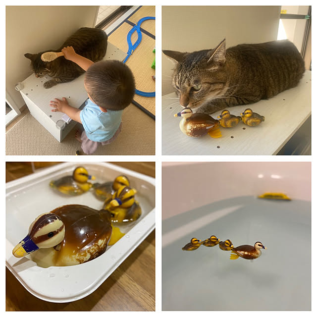 mikomaruさんの実例写真