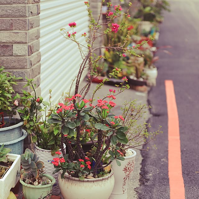 steven585さんの実例写真