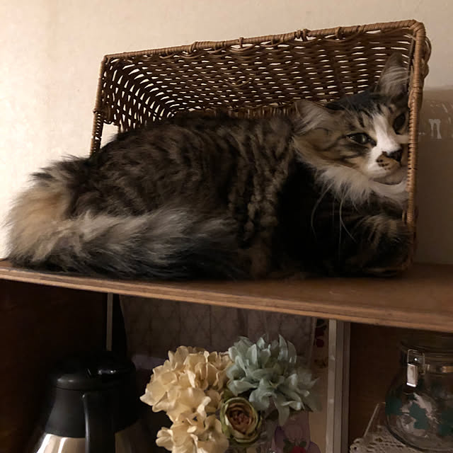 junbuさんの部屋