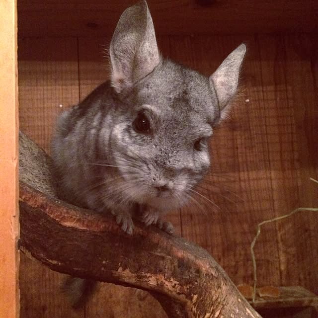 otomatuさんの実例写真