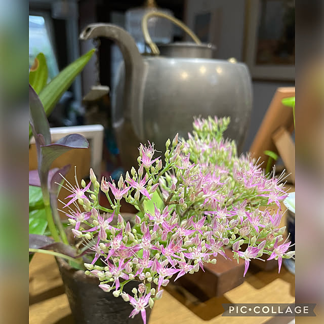 buchiさんの実例写真