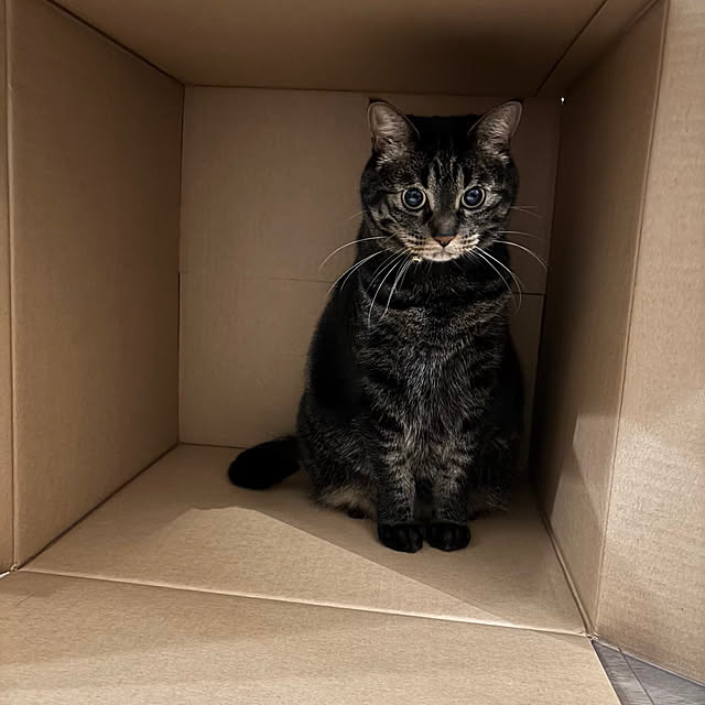 momocchiさんの部屋