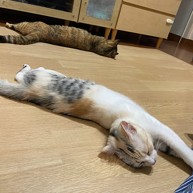 hansho.sさんの実例写真