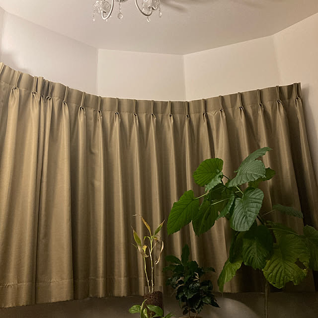 tomokoさんの実例写真