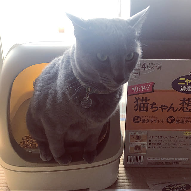 roshi3さんの実例写真