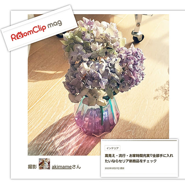 akimameさんの実例写真