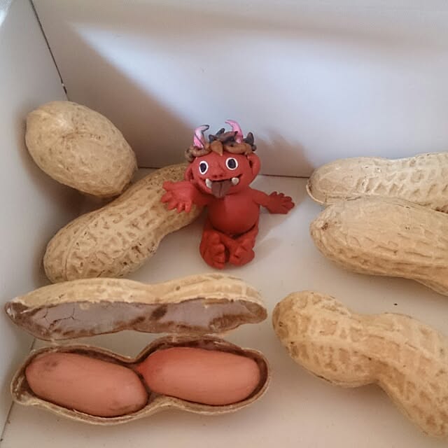 kikuさんの実例写真