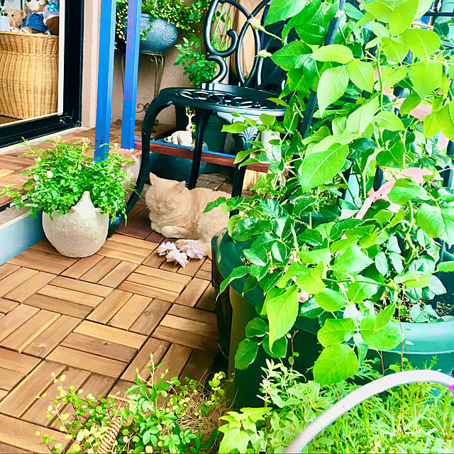 naokoさんの部屋