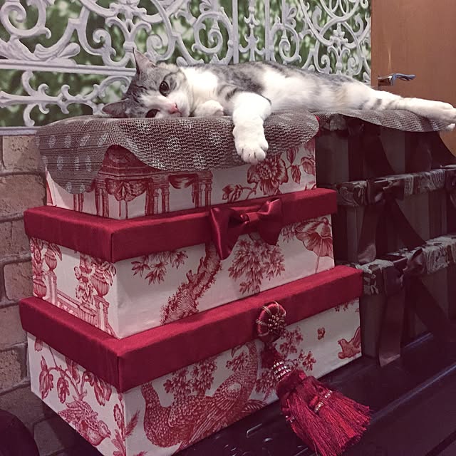 emmyyさんの実例写真