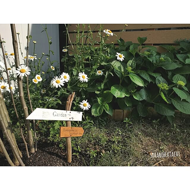 soranokatachiさんの実例写真