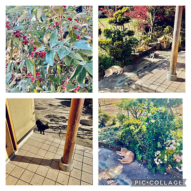 CoCo0617さんの実例写真