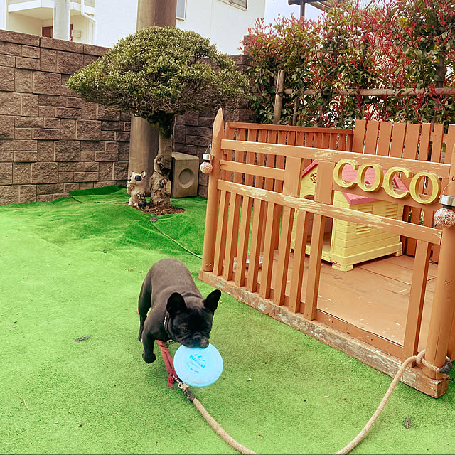 the.shooterさんの実例写真