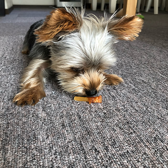 tmmycpさんの実例写真