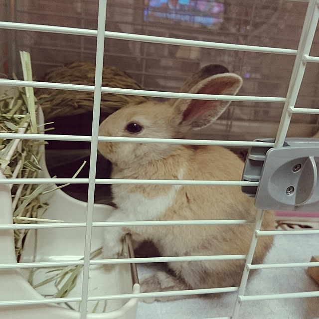 Nanaさんの実例写真