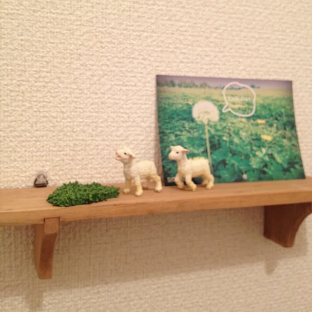 shironaoさんの実例写真