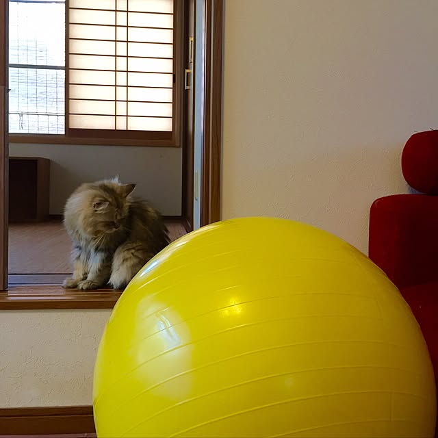 butachanさんの実例写真