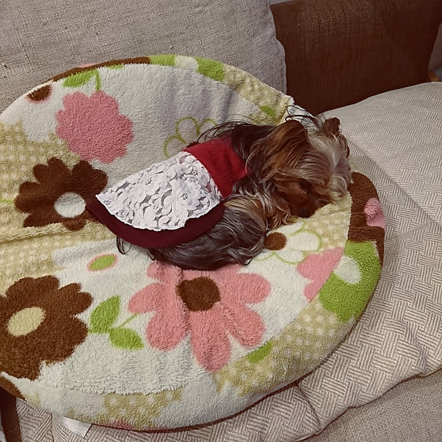 akiさんの実例写真