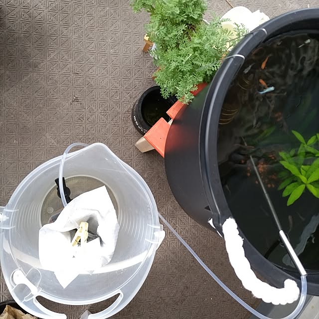 mi-saさんの部屋