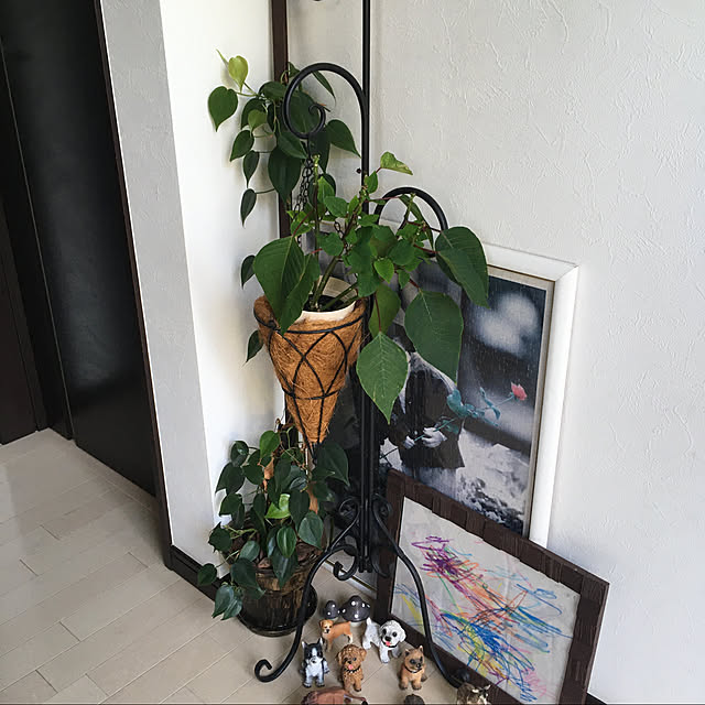 実例写真